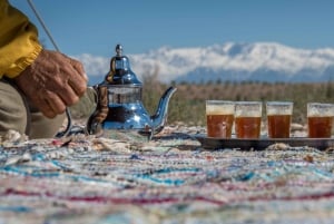 Desde Marrakech: Excursión de medio día en quad por el desierto de Agafay