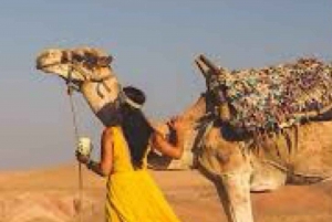 From Marrakech: Agafay Desert Horse ride with sunset