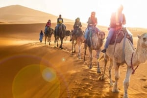 From Marrakech: Agafay Desert Horse ride with sunset