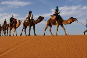 From Marrakech: Agafay Desert Horse ride with sunset