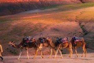 Au départ de Marrakech : Promenade à cheval dans le désert d'Agafay avec coucher de soleil