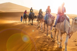 Au départ de Marrakech : Promenade à cheval dans le désert d'Agafay avec coucher de soleil