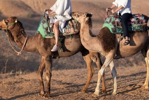 Au départ de Marrakech : Promenade à cheval dans le désert d'Agafay avec coucher de soleil