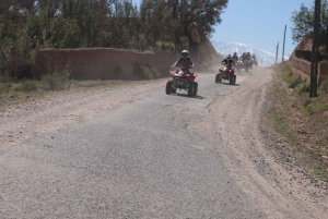 From Marrakech: Agafay Desert Quad Bike and Camel Ride Tour