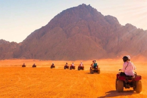 マラケシュ発：アガファイ砂漠でのクワッドバイク ツアー、ディナーとショー付き