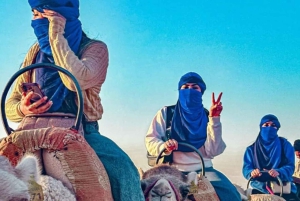 マラケシュ発：アガファイ砂漠で四輪バギー＆ラクダ乗り＆ディナーショーをお楽しみください