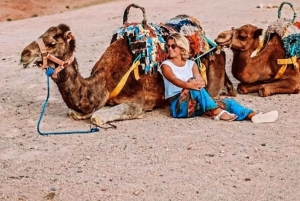 マラケシュ発：アガファイ砂漠で四輪バギー＆ラクダ乗り＆ディナーショーをお楽しみください