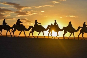 マラケシュ発：アガファイ砂漠で四輪バギー＆ラクダ乗り＆ディナーショーをお楽しみください