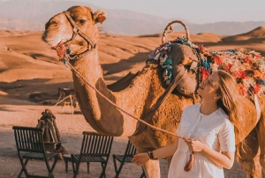 Da Marrakech: Giro in cammello al tramonto nel deserto di Agafay e cena