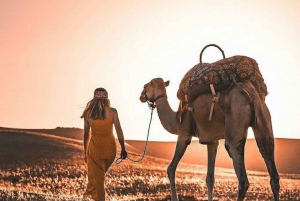 Z Marrakeszu: Przejażdżka na wielbłądzie i kolacja o zachodzie słońca na pustyni Agafay