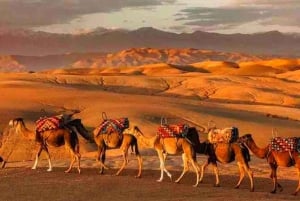 Au départ de Marrakech : Dîner au coucher du soleil dans le désert d'Agafay et balade à dos de chameau