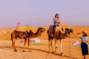 From Marrakech: Agafay Desert Sunset Dinner & Camel Ride
