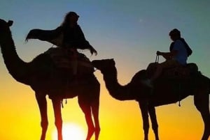 De Marrakech: Jantar ao pôr do sol no deserto de Agafay e passeio de camelo