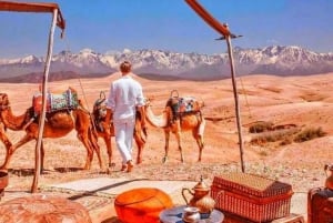 Vanuit Marrakech: Agafay woestijn zonsondergang diner & kamelentocht