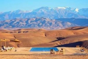 Marrakechista: Agafayn aavikon auringonlasku illallinen & kameliratsastus