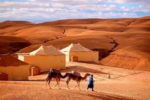 Vanuit Marrakech : Agafay Woestijn Zonsondergang Diner met Kameeltocht