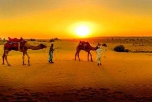 Da Marrakech : Cena al tramonto nel deserto di Agafay con giro in cammello