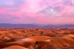 Da Marrakech: Cena al tramonto nel deserto di Agafay con spettacolo dal vivo
