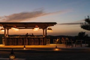 From Marrakech: Agafay Desert Sunset Dinner with Live Show