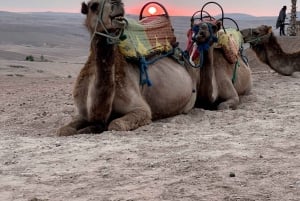 From Marrakech: Agafay Desert Sunset, Quad Biking, & Dinner