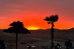 From Marrakech: Agafay Desert Sunset, Quad Biking, & Dinner