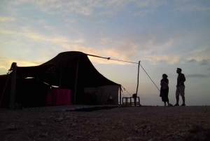 Marrakech : Vallée de l'Ourika, chutes d'eau, atlas & guide & déjeuner