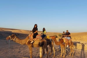 Marrakech: Valle dell'Ourika, cascate, Atlas, guida e pranzo.