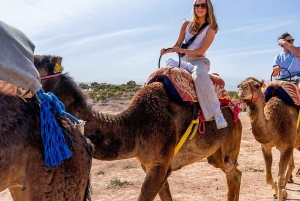 Från Marrakech: Agafay Sunset Camel Tour med middag och show