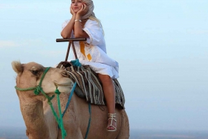 Från Marrakech: Agafay Sunset Camel Tour med middag och show