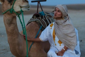 Från Marrakech: Agafay Sunset Camel Tour med middag och show