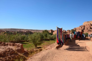 Dagtrip naar Ouarzazate & Ait Ben Haddou Kasbah