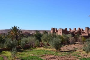 Dagtrip naar Ouarzazate & Ait Ben Haddou Kasbah