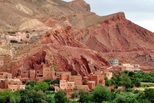 Fra Marrakech: Dagstur til Ait Benhaddou og Atlasfjellene