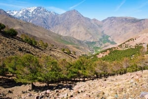 From Marrakech: Asni and Imlil Private Day Trip