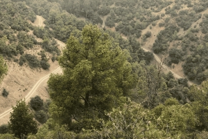 Vanuit Marrakech: Fietstocht in het Atlasgebergte en Berberdorpen