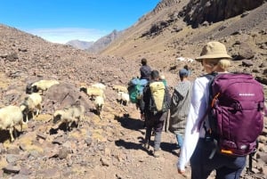 Von Marrakech aus: Atlasgebirge 4-Tages-Wanderung mit Hotels