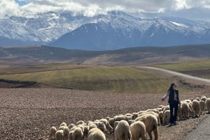 Från Marrakech: Atlasbergen 4-dagars vandring med hotell