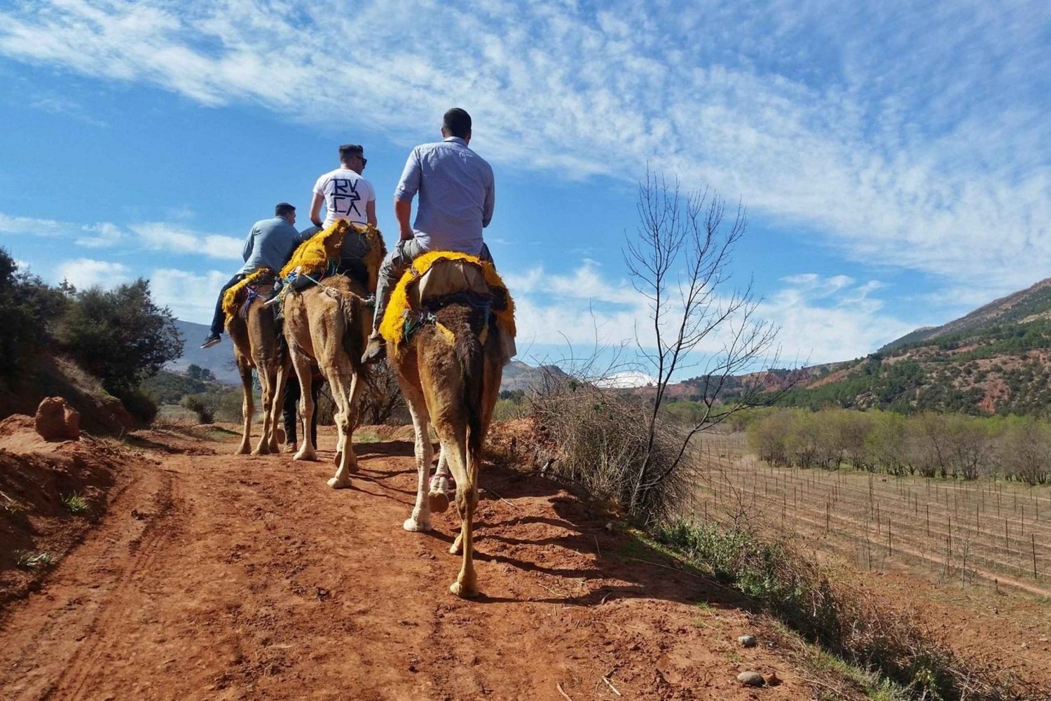 Marrakechista: Atlasvuoret 45 minuutin ratsastusretki hevosen selässä.
