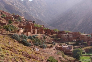 Fra Marrakech: Atlasbjergene 45-minutters ridetur