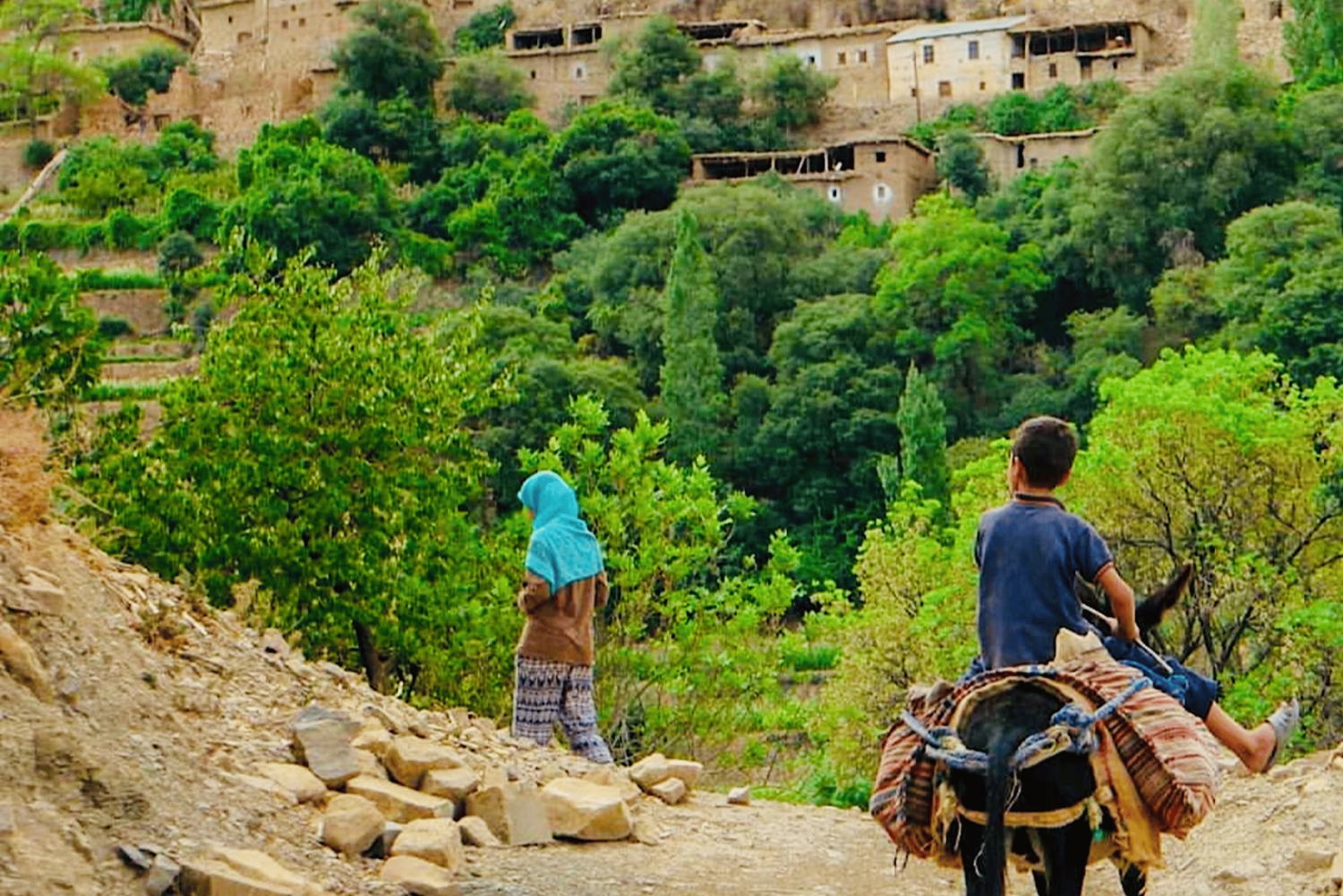 From Marrakech: Atlas Mountains and Berber Village Day Trip