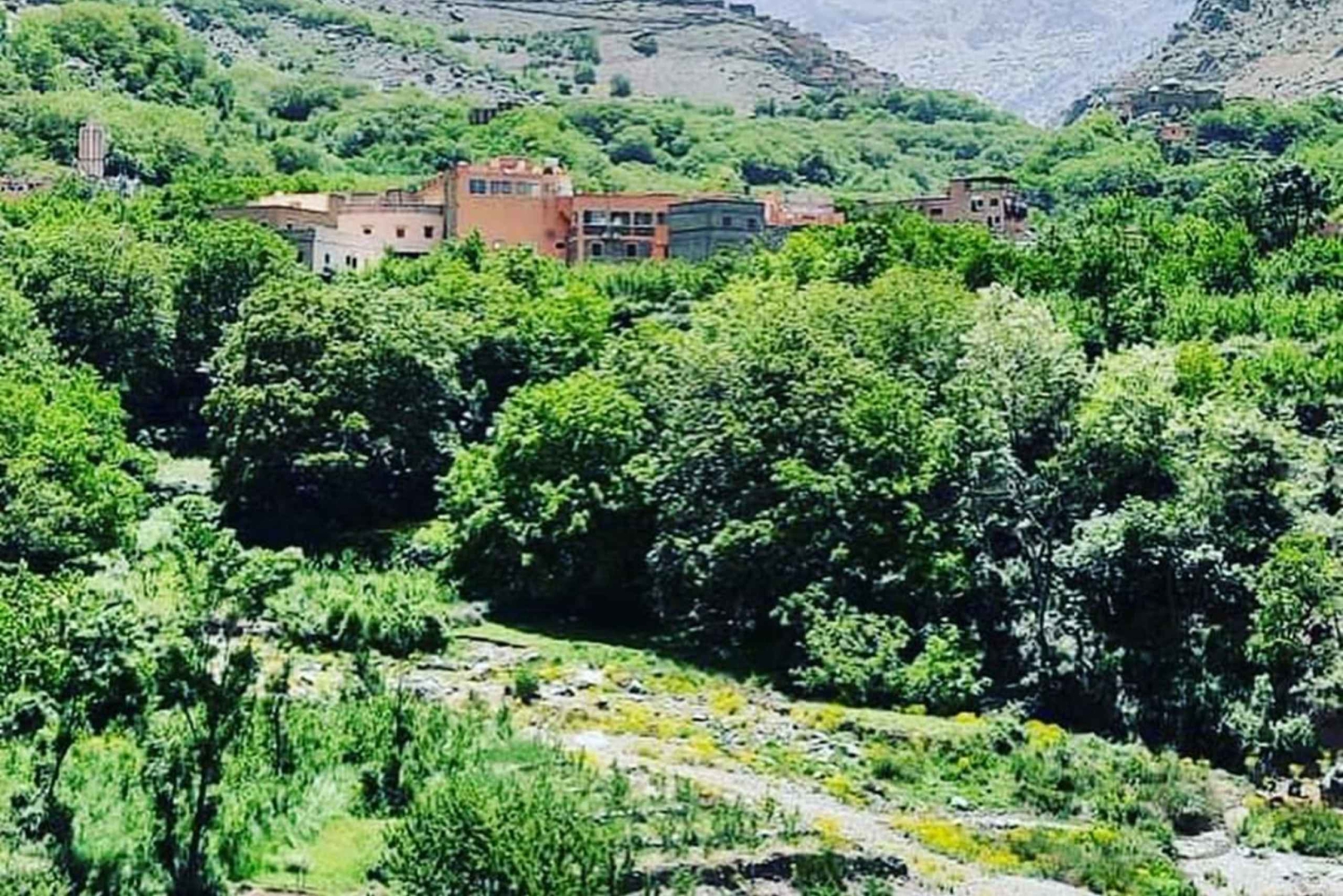 From Marrakech: Atlas Mountains and Berber Village Day Trip