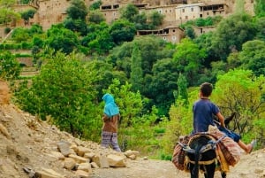 Desde Marrakech: Excursión de un día a las montañas del Atlas y los pueblos bereberes