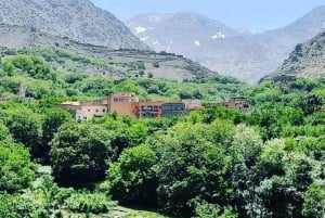 From Marrakech: Atlas Mountains and Berber Village Day Trip