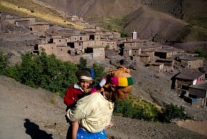 Au départ de Marrakech : Excursion d'une journée dans les montagnes de l'Atlas et les villages berbères