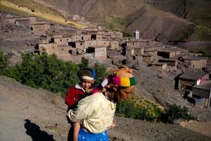 From Marrakech: Atlas Mountains and Berber Village Day Trip