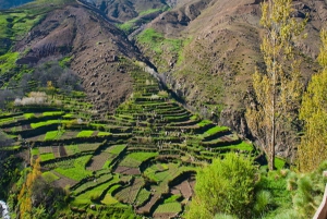 From Marrakech: Atlas Mountains and Berber Village Day Trip