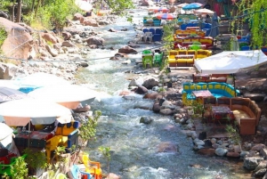 Da Marrakech: Tour delle montagne dell'Atlante e della Valle dell'Ourika