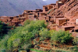 Marrakechista: Ourikan laakson kiertoajelu: Atlasvuoret ja Ourikan laakso