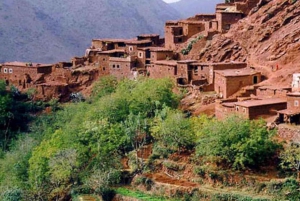 From Marrakech: Atlas Mountains and Ourika Valley Tour