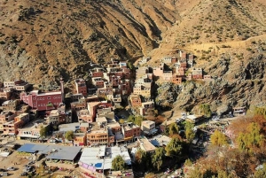 Från Marrakech: Rundtur i Atlasbergen och Ourika-dalen